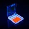 NEON LASHES (NEON ORANGE)