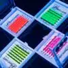 NEON LASHES (NEON ORANGE)