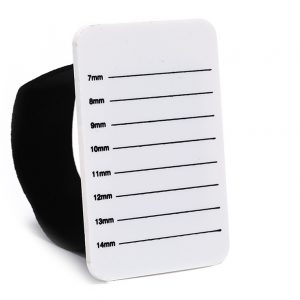 Hand Palette/ Hand Holder