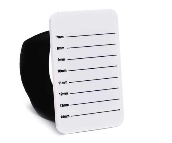 Hand Palette/ Hand Holder