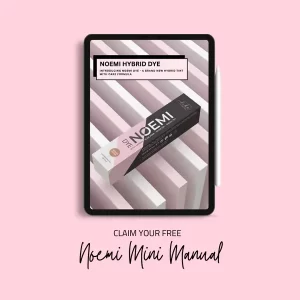 NOEMI | HYBRID DYE - MINI MANUAL